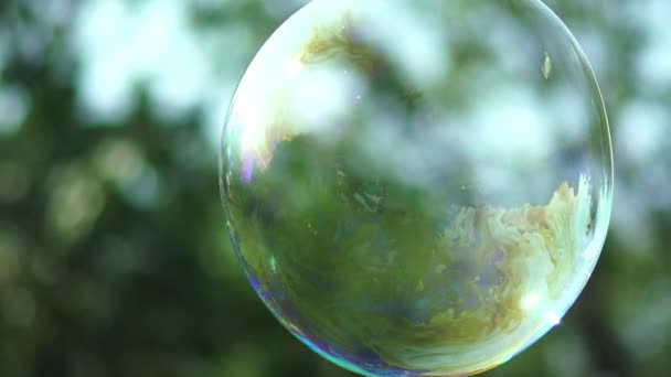 Vue rapprochée de la belle grande bulle de savon vole près des arbres — Video