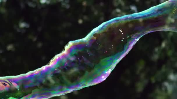 Close up θέα της όμορφης μεγάλη φούσκα σαπούνι πετάει κοντά στα δέντρα — Αρχείο Βίντεο