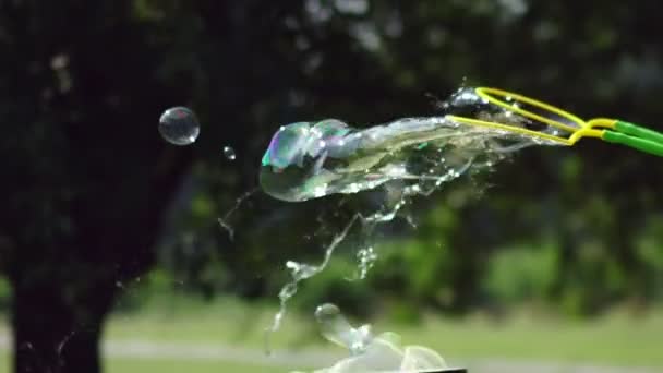 Vista da vicino di bella grande bolla di sapone sta volando vicino agli alberi — Video Stock