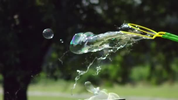 Close-up weergave van mooie grote zeepbel vliegt in de buurt van de bomen — Stockvideo