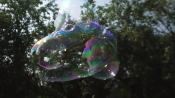 Close up view of beautiful big soap bubble is flying near the trees — Stock Video