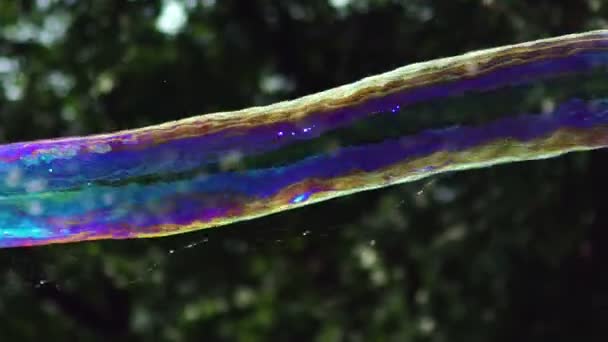 Vista da vicino di bella grande bolla di sapone sta volando vicino agli alberi — Video Stock