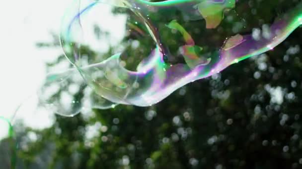 Vista da vicino di bella grande bolla di sapone sta volando vicino agli alberi — Video Stock