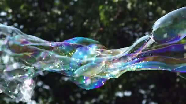 Close-up vista de colorido grande bolha de sabão longo está voando no parque — Vídeo de Stock