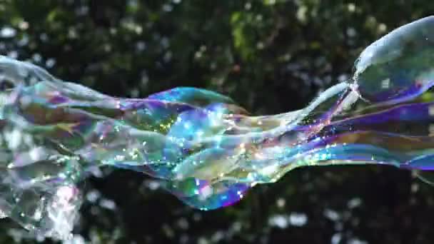 Vista da vicino della grande bolla di sapone lungo colorato sta volando nel parco — Video Stock