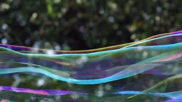 Close up view of colorful big long soap bubble is flying in the park — Stock Video
