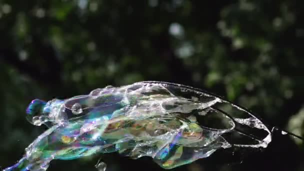 Vista de cerca de la gran burbuja de jabón largo colorido está volando en el parque — Vídeo de stock