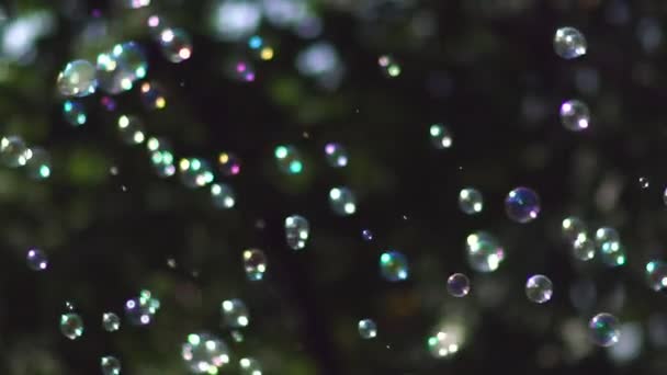 De nombreuses petites bulles se dispersent dans différentes directions .