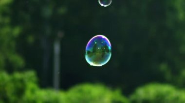İki küçük sabun uçan ve parlayan kabarcık. Metamorfoz baloncuklar