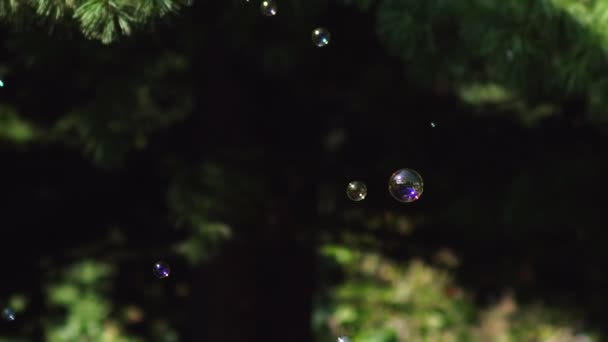 Beaucoup de petit et grand ventilateur multicolore de bulle. Bulles de savon montrent .