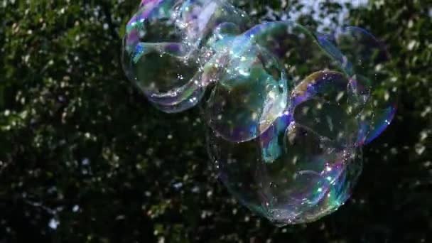 Multi-colored big bubble blower. Bubble wand. Soap bubbles show. — Stock Video
