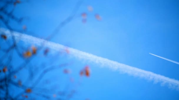Trilha de avião em um céu azul claro. Aeronaves voando alto no céu — Vídeo de Stock
