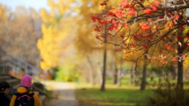 Rusya, Novosibirsk, 2015: Okuldan sonra kız çocuk eşlik eder