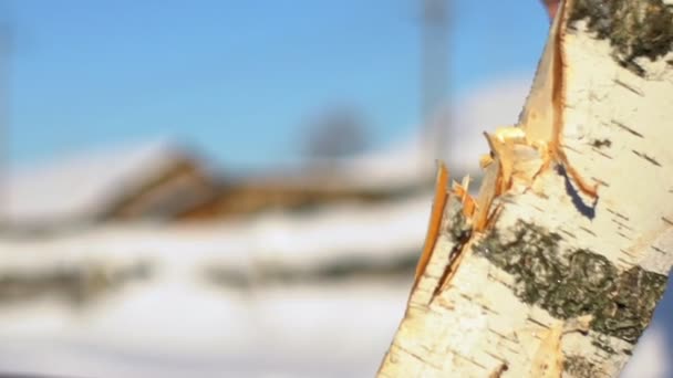 Bijl hakken log. Hout hakken in de winter. Splinters van hout — Stockvideo