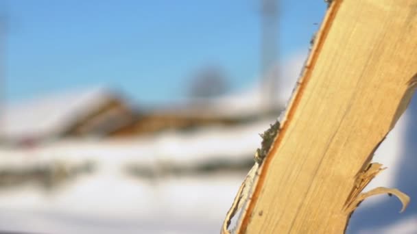 Tronco de hacha. Cortar madera en invierno. Astillas de madera — Vídeo de stock
