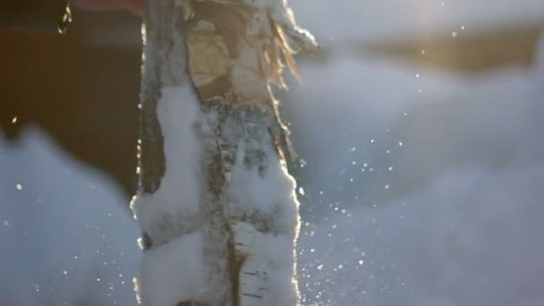 Um homem desconhecido corta madeira no inverno. Madeira serrada para cortar madeira — Vídeo de Stock