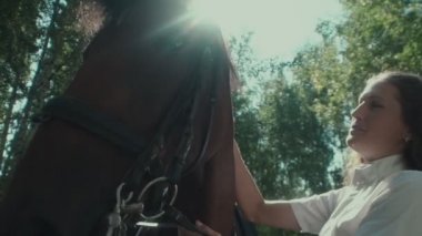 Kadın binici ve at güneşli bir orman içinde. Kadın at okşayarak.