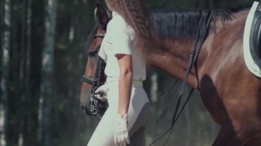 Güzel kız kırsalında bir at binme. Takım binici