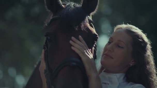 A female rider in a white suit stroking horse in the summer forest — Stock Video