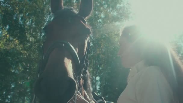 Cavaleiro e cavalo em uma floresta ensolarada. Mulher acariciando o cavalo . — Vídeo de Stock