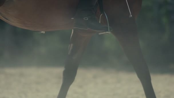 Il cavallo va oltre. Stirrups. Attirare passaggio . — Video Stock