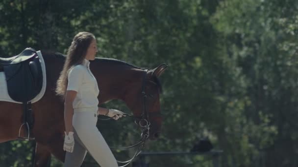 Rider w białym garniturze prowadzi konia przez stery. Samica jeźdźca — Wideo stockowe