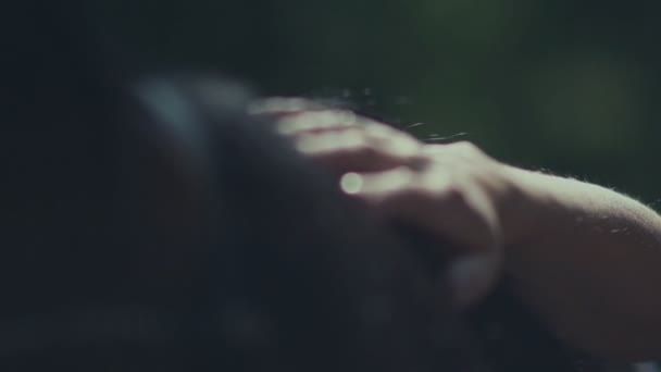 Crinière de cheval. Des femmes caressant le cheval. Museau d'un cheval .