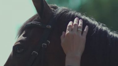 Görünmez Mans el at yelesi okşayarak. Binicilik