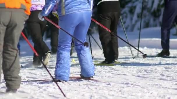 Russland, Nowosibirsk, 2016: Massensprint beim Skilanglauf — Stockvideo