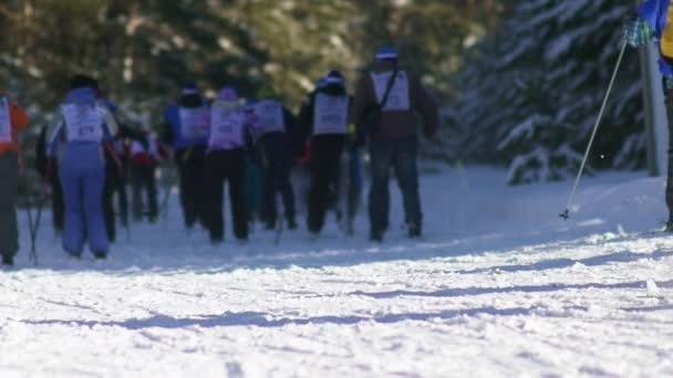 रूस, नोवोसिबिर्स्क, 2016: क्रॉस-कंट्री स्कीइंग में जन स्प्रिंट — स्टॉक वीडियो