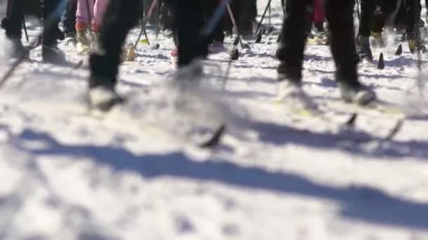 Carrera de esquí masivo. Carrera de esquí de fondo. Las piernas de los esquiadores . — Vídeos de Stock