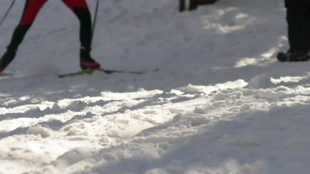 Em câmara lenta. As pernas dos esquiadores. Pólos de esqui e esqui de fundo . — Vídeo de Stock