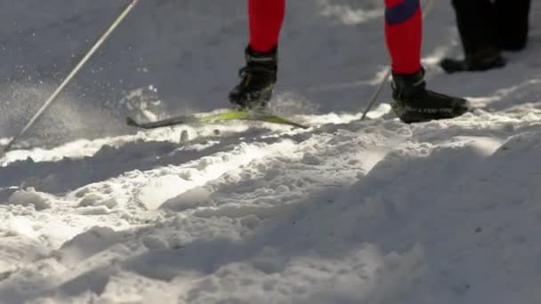 Al rallentatore. Le gambe degli sciatori. Bastoni da sci e sci di fondo . — Video Stock