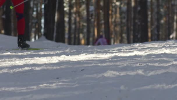 Повільному. Ноги лижників. Гірськолижні палиці і бігових лижах. — стокове відео