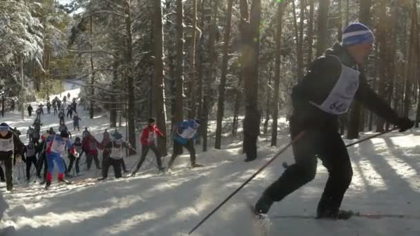 Росія, Новосибірськ, 2016: Лижників підніматися на гору в зимовий ліс — стокове відео