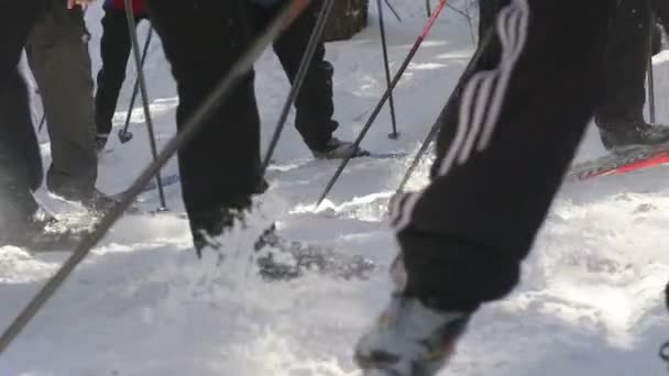 Die Beine der Skifahrer. Skistöcke und Langlauf — Stockvideo