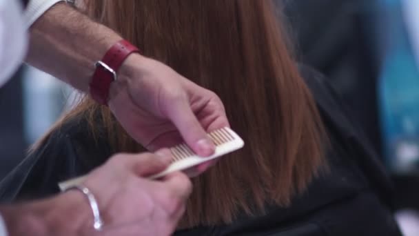 O cabeleireiro funciona. Mãos estilista masculino. Pentear as pontas do cabelo . — Vídeo de Stock