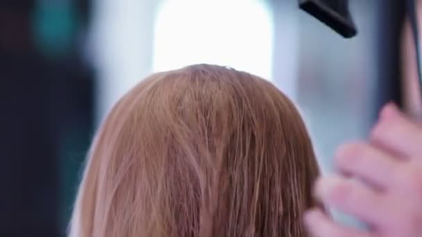 Wet hair is dried by hairdryer. Male hand stylist with a hairdryer. — Stock Video