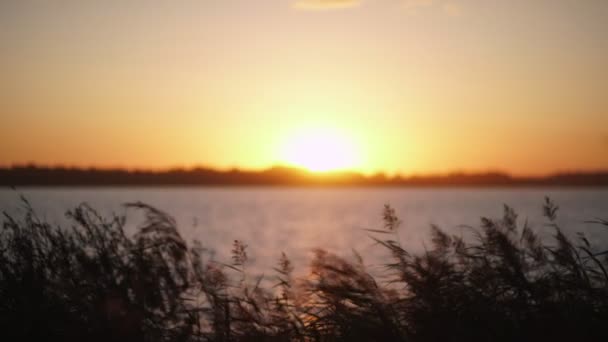 Puesta de sol en el lago sin gente. Superficie del agua . — Vídeos de Stock