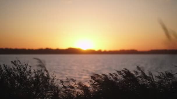 Solnedgång på flodstranden. Den orangea inställningen sön. — Stockvideo