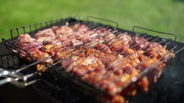 Smakelijk geroosterd vlees op de kolen. Varkensvlees barbecue. — Stockvideo