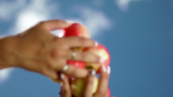 Les pommes tombent. Pommes mûres rouges. Mouvement lent — Video