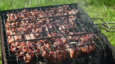 Izgaradaki et. Et kömürlerde kızartılır. Kamp. Barbekü