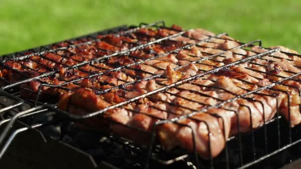 Viande rôtie appétissante sur les charbons. Barbecue au porc. BBQ . — Video