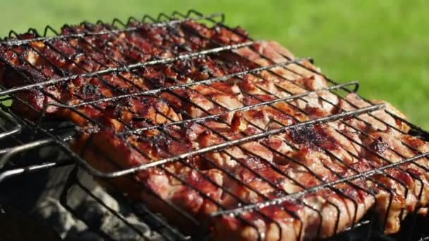 Varkensvlees barbecue. BBQ. gegrild vlees klaar om te eten. Close-up — Stockvideo