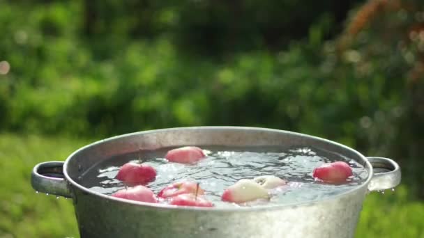 In the empty basin of water throwing apples. — Stock Video