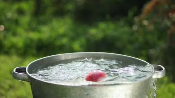 Pommes dans l'eau. Les pommes sont lavées dans un bassin d'eau . — Video