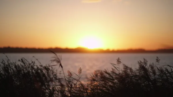 Sunset on the lake without people. Water surface. Stock Photo