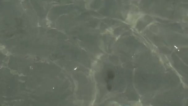 Eau de mer transparente 