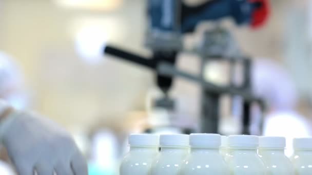 Production of dairy products — Stock Video